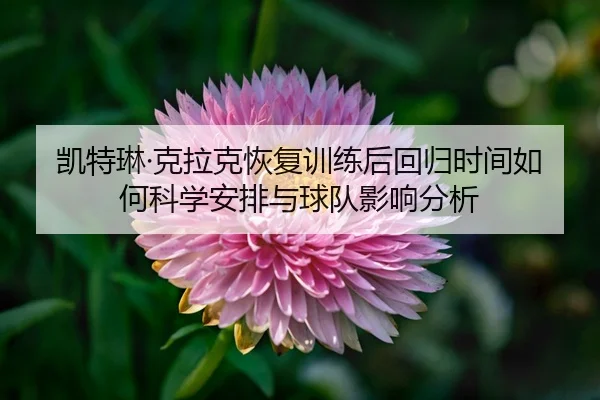 kai-te-lin-ke-la-ke-hui-fu-xun-lian-hou-hui-gui-shi-jian-ru-he-ke-xue-an-pai-yu-qiu-dui-ying-xiang-fen-xi-2-477.jpg